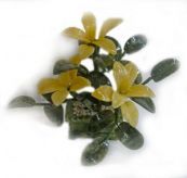 Бонсай-цветы желтый оникс, листья нефрит