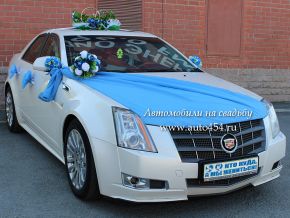 Прокат свадебных украшений для авто в Челябинске. Большой выбор!